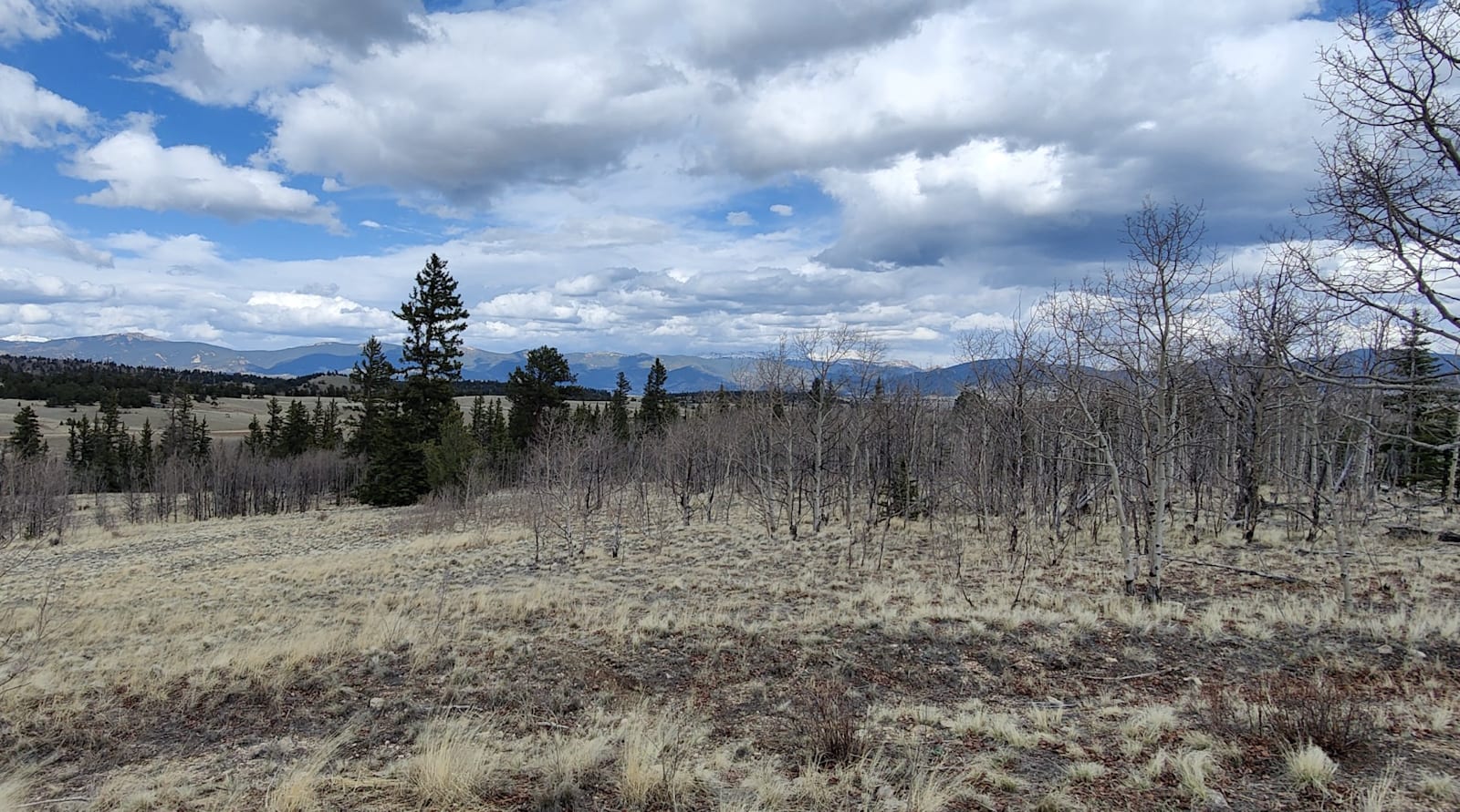 Camp with a view! - Jefferson, Colorado - glamping.directory