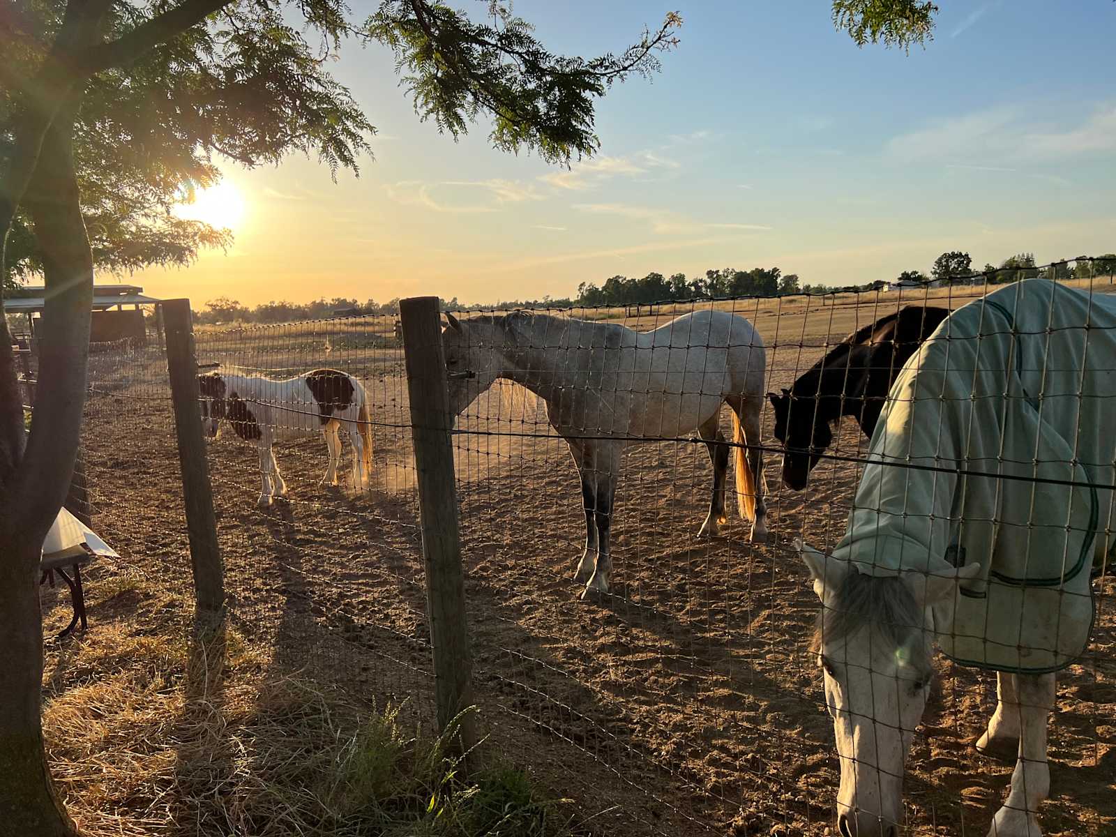 Hirst Horse Ranch - Clay, California - glamping.directory