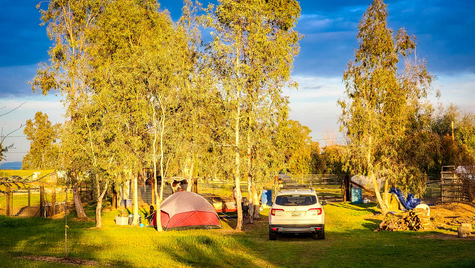 Hirst Horse Ranch - Clay, California - glamping.directory