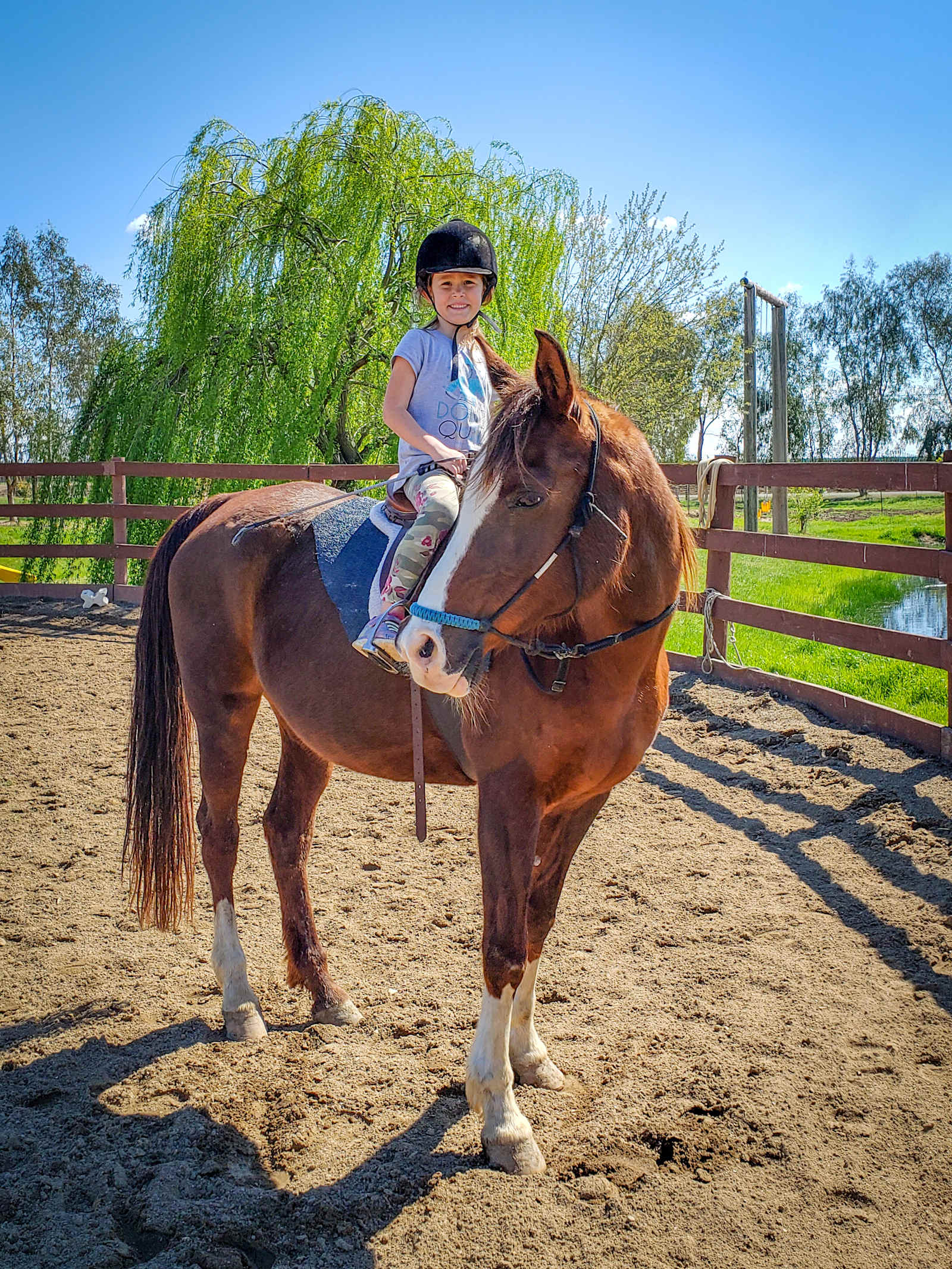 Hirst Horse Ranch - Clay, California - glamping.directory