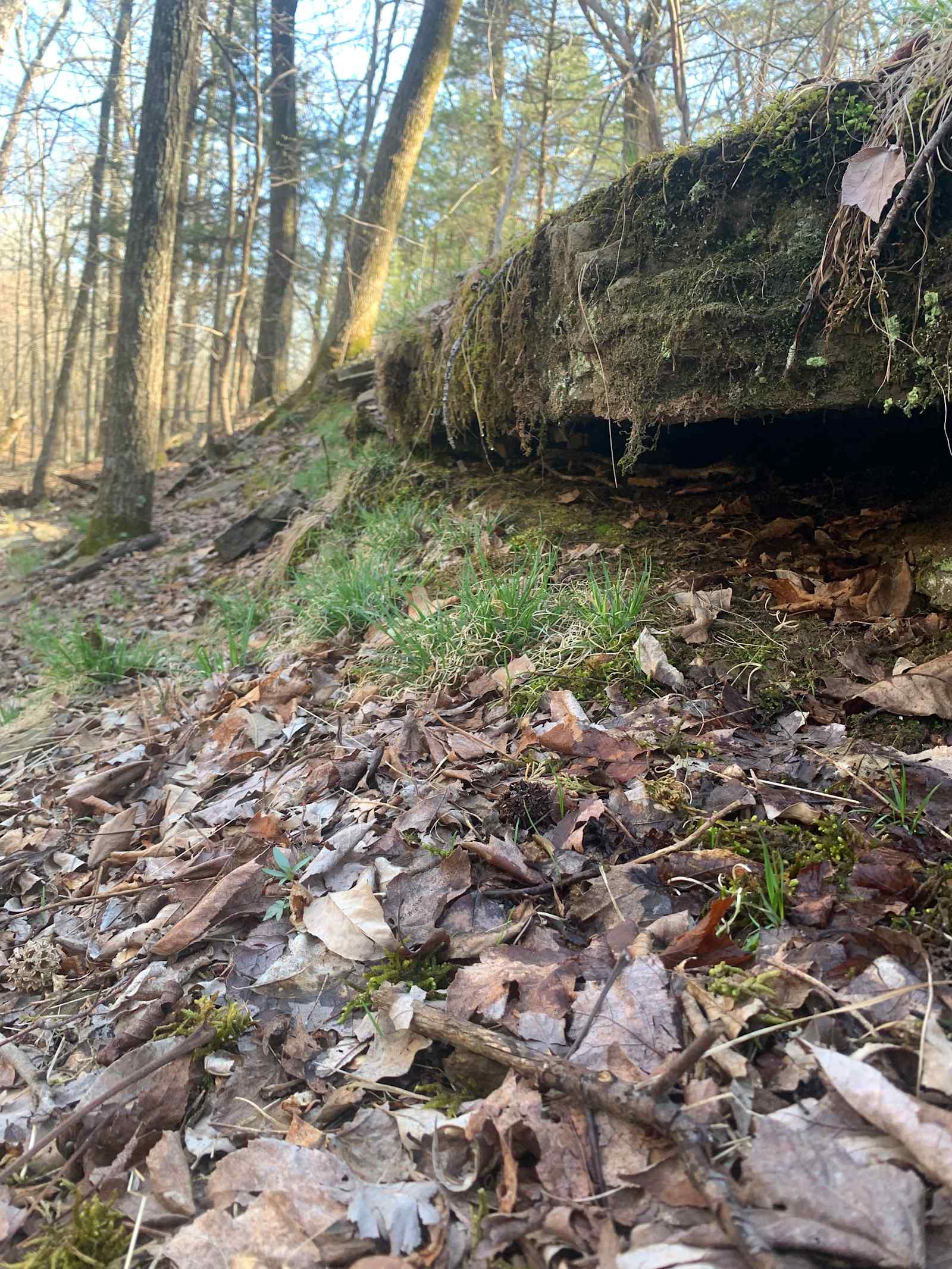 High Rock Acres - Rudy, Arkansas - glamping.directory