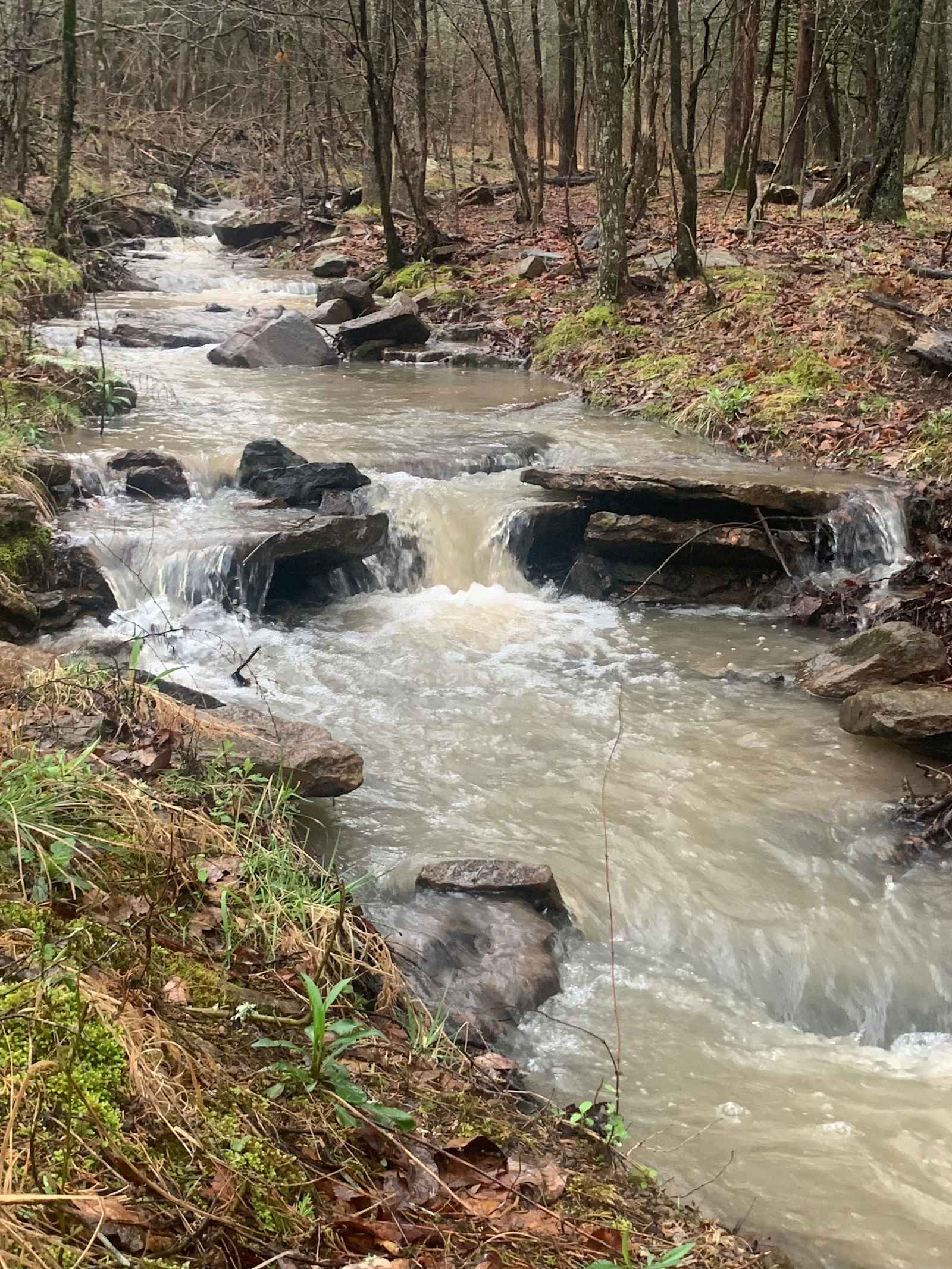 High Rock Acres - Rudy, Arkansas - glamping.directory