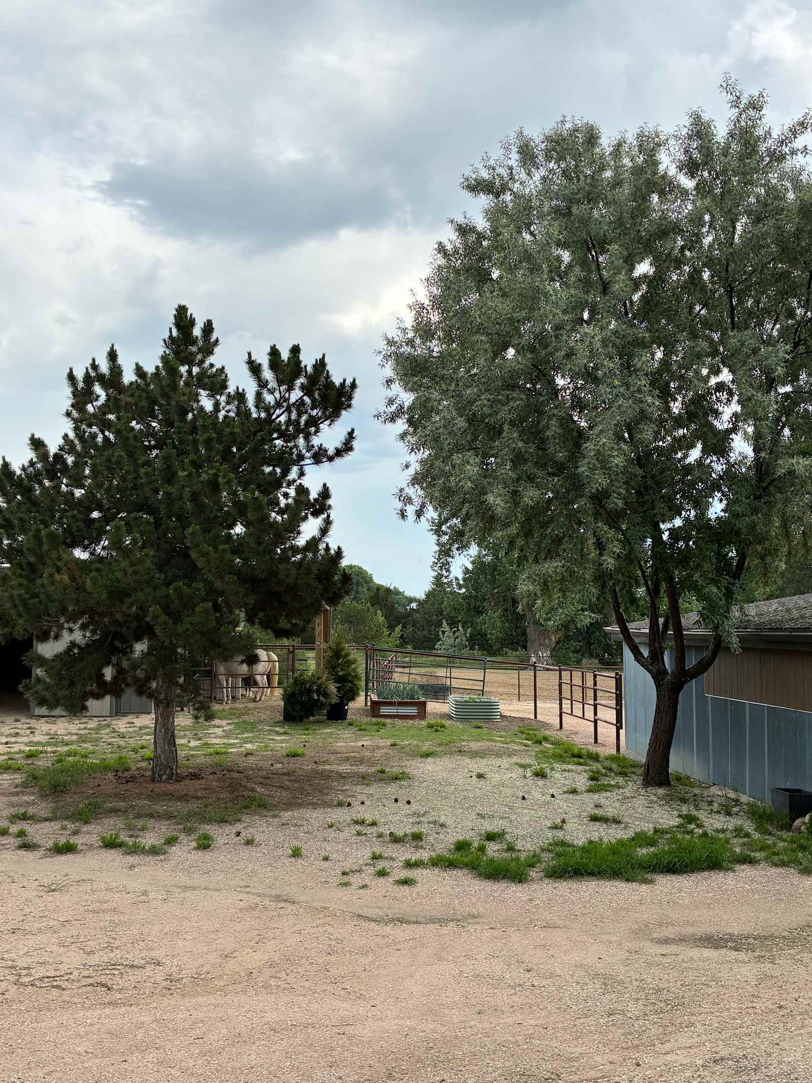 Lazy M Homestead - Fort Collins, Colorado - glamping.directory