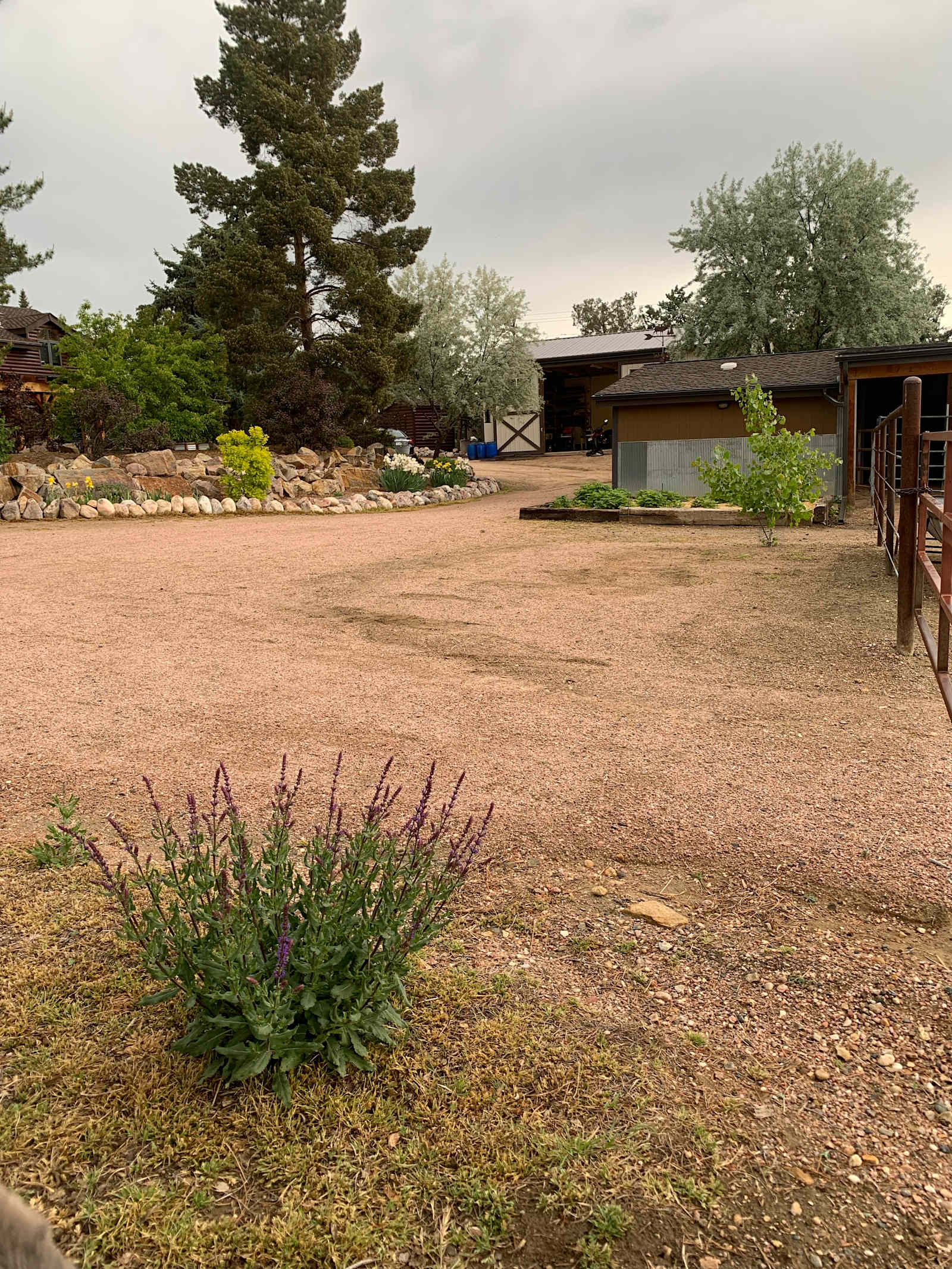Lazy M Homestead - Fort Collins, Colorado - glamping.directory