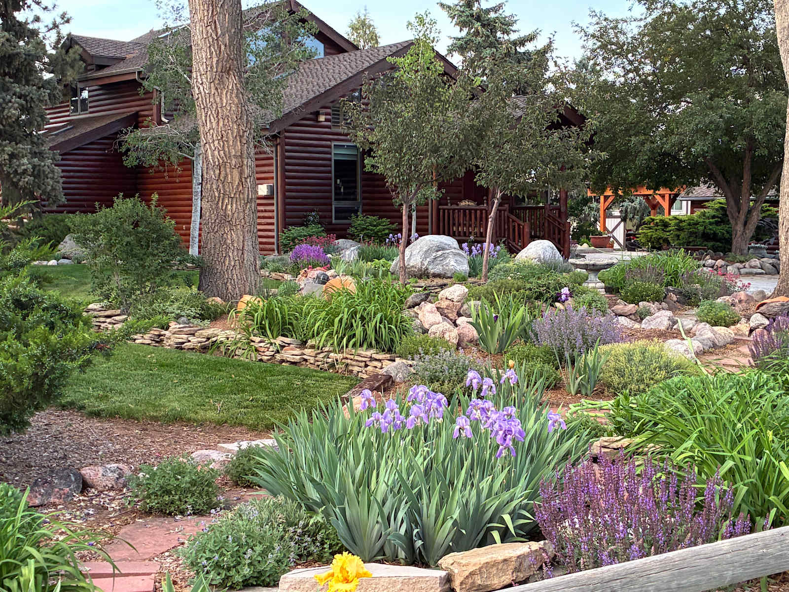 Lazy M Homestead - glamping.directory