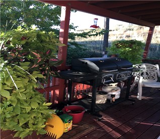 Private Guest Suite with Breakfast and Excellent Amenities in Kanab, Utah - Kanab, Utah - glamping.directory