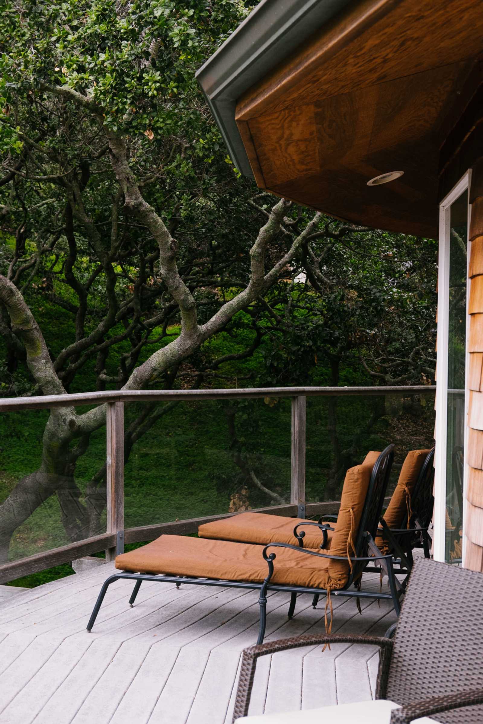 Bay View "Tree House" - San Rafael, California - glamping.directory