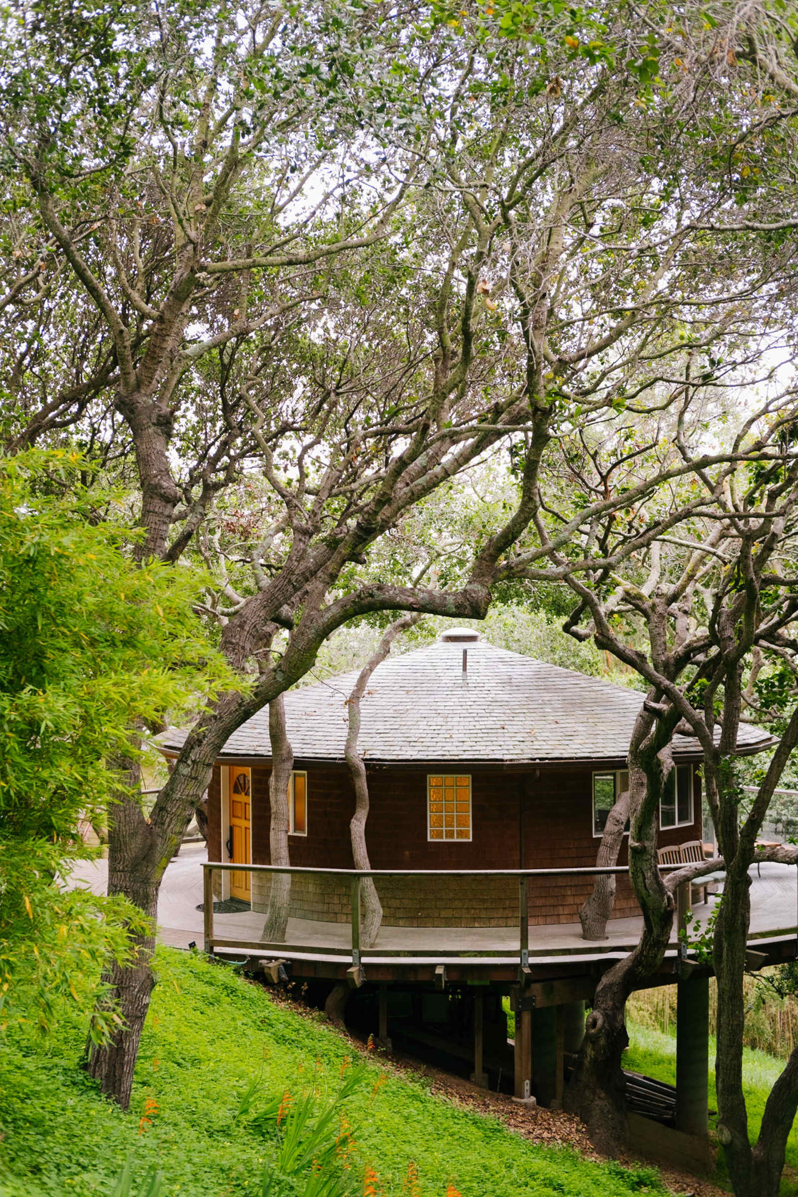 Bay View "Tree House" - San Rafael, California - glamping.directory