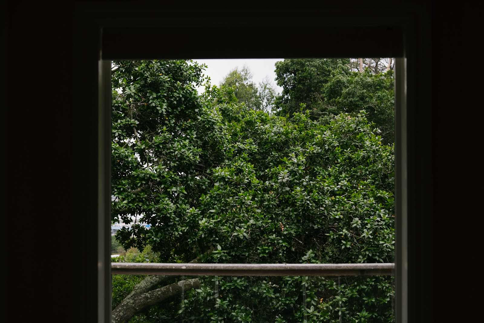 Bay View "Tree House" - San Rafael, California - glamping.directory