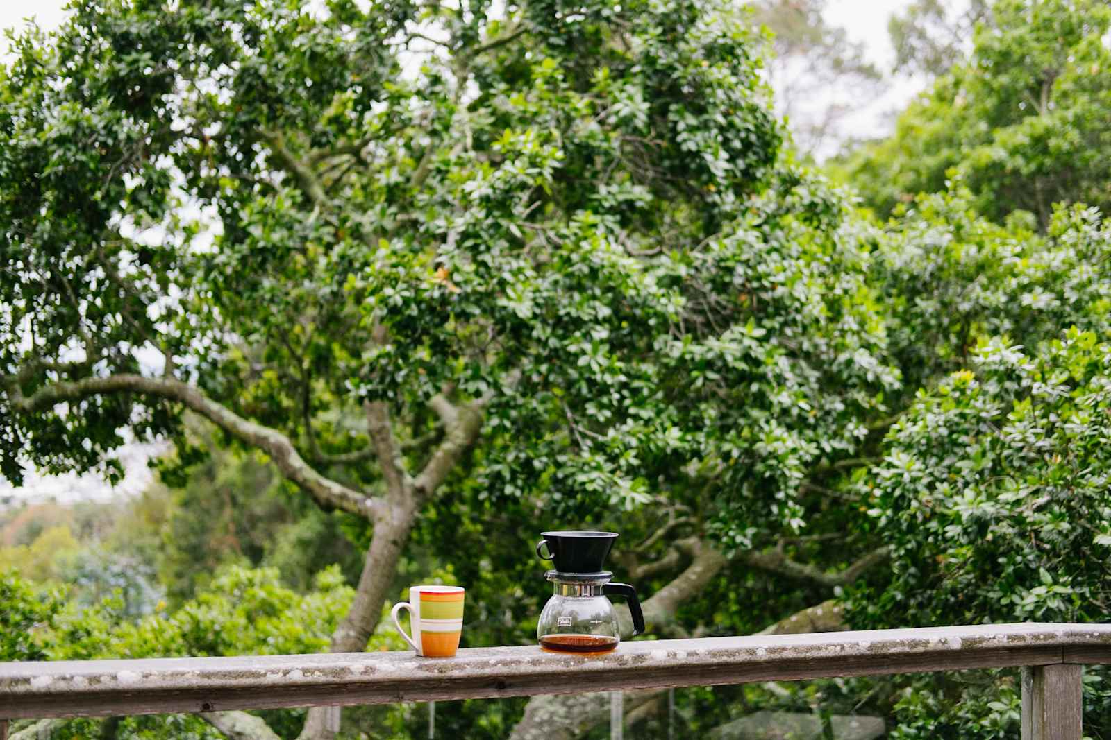 Bay View "Tree House" - San Rafael, California - glamping.directory