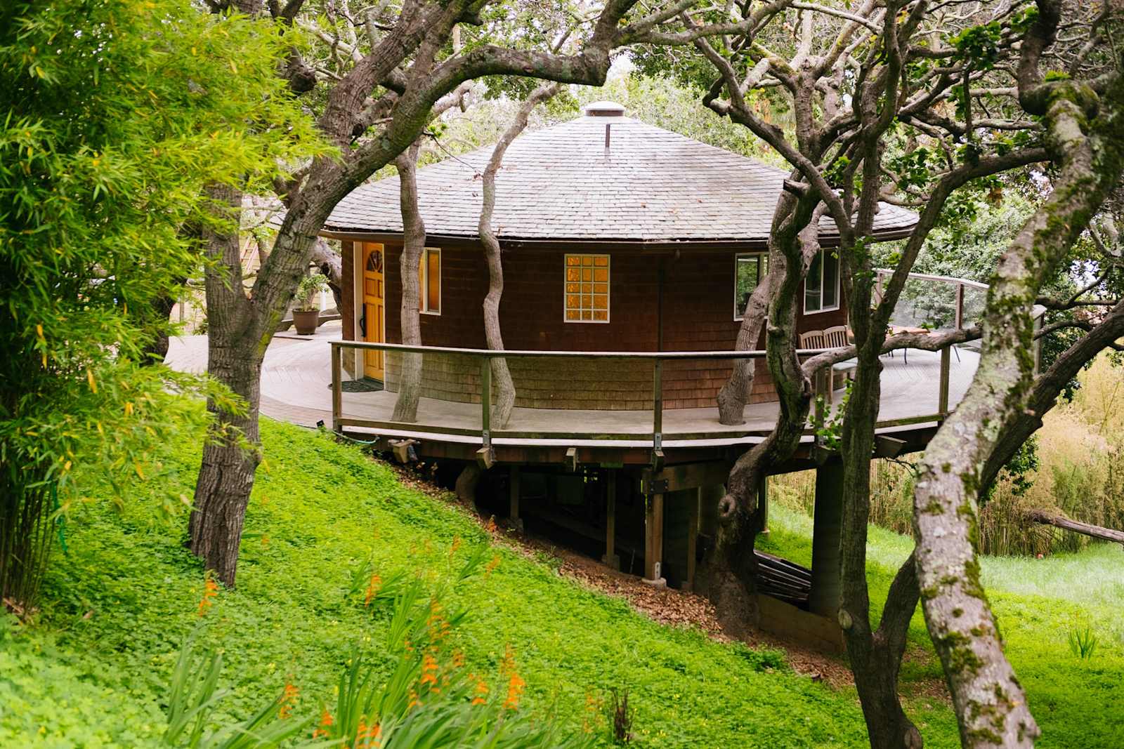 Bay View "Tree House" - glamping.directory