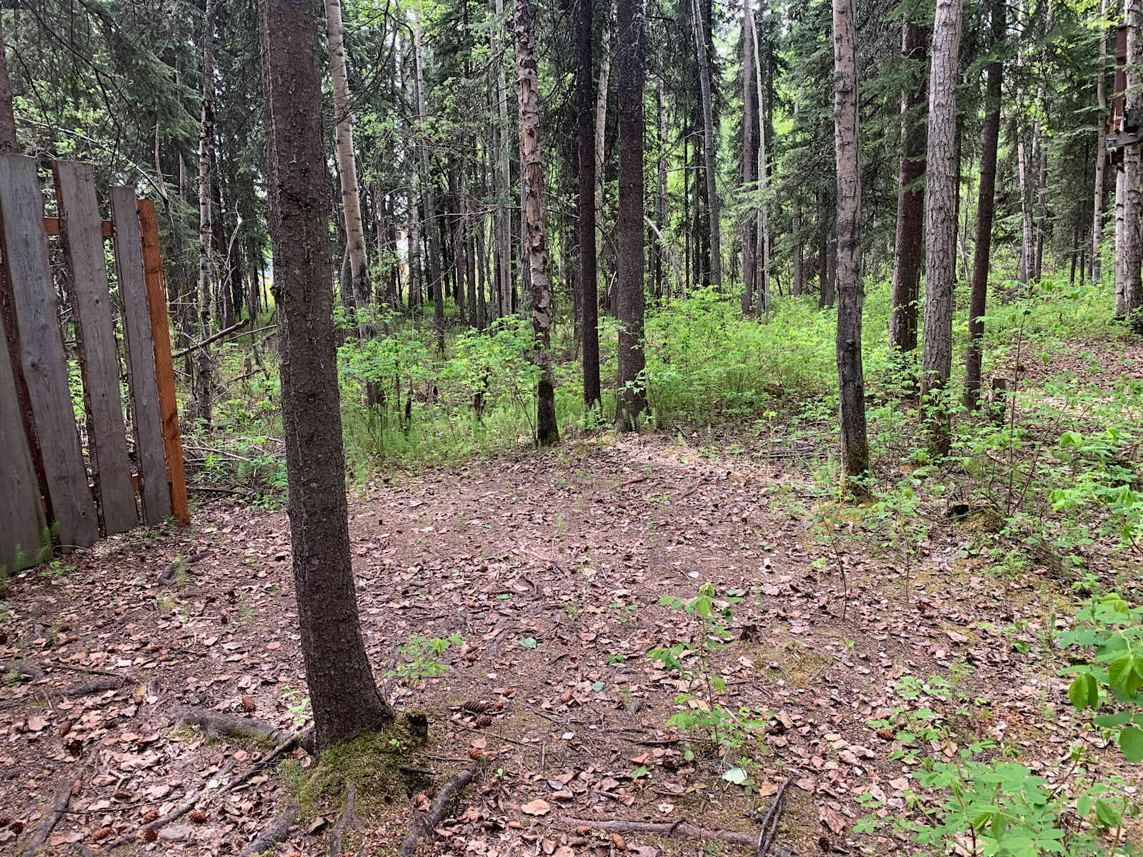 Sven's Basecamp Hostel - glamping.directory