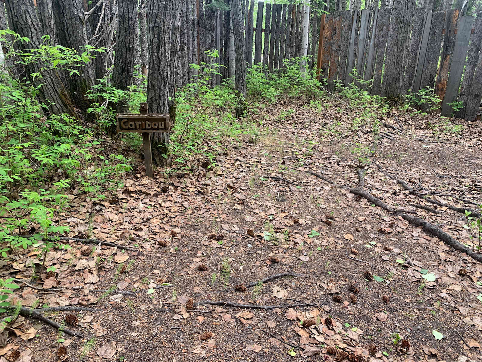 Sven's Basecamp Hostel - Fairbanks, Alaska - glamping.directory