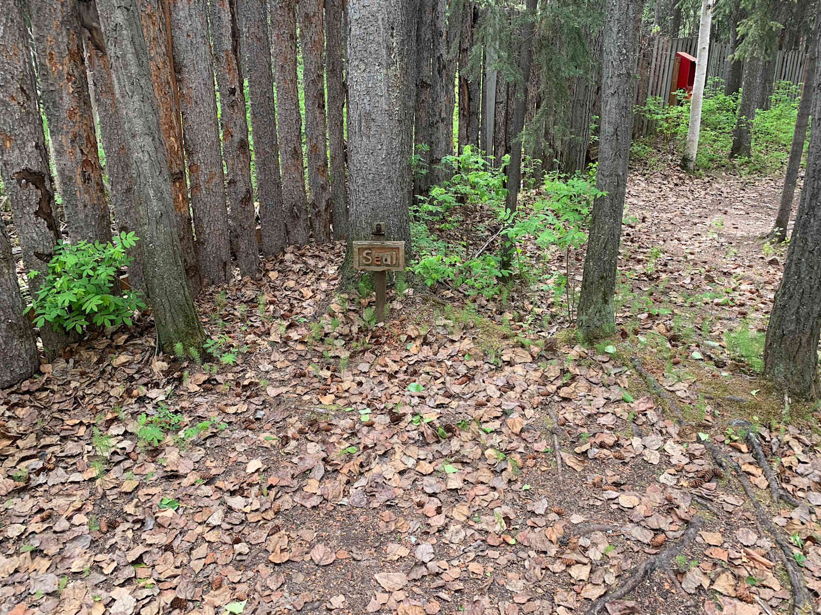Sven's Basecamp Hostel - Fairbanks, Alaska - glamping.directory