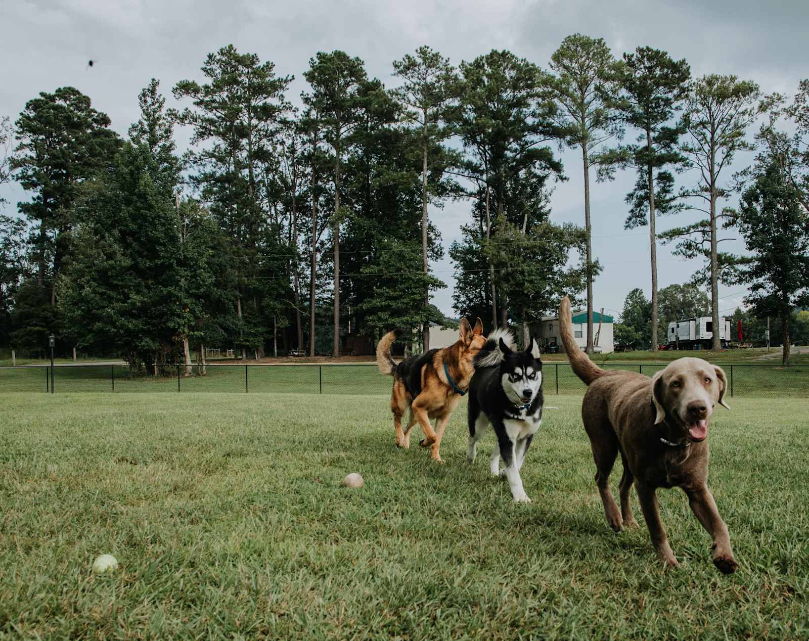 Serene Lakefront Retreat - Ashville, Alabama - glamping.directory