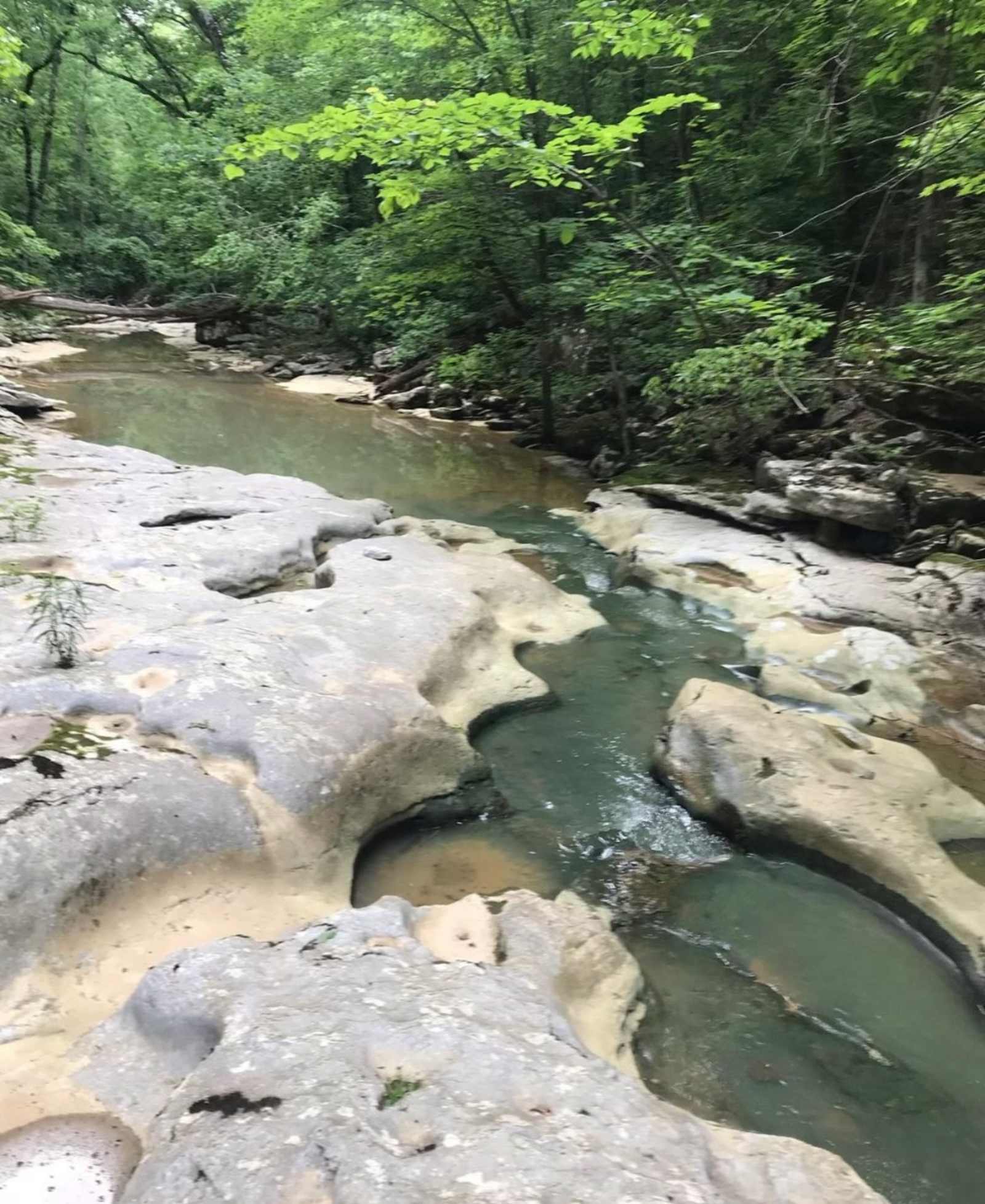 Eden Springs - glamping.directory
