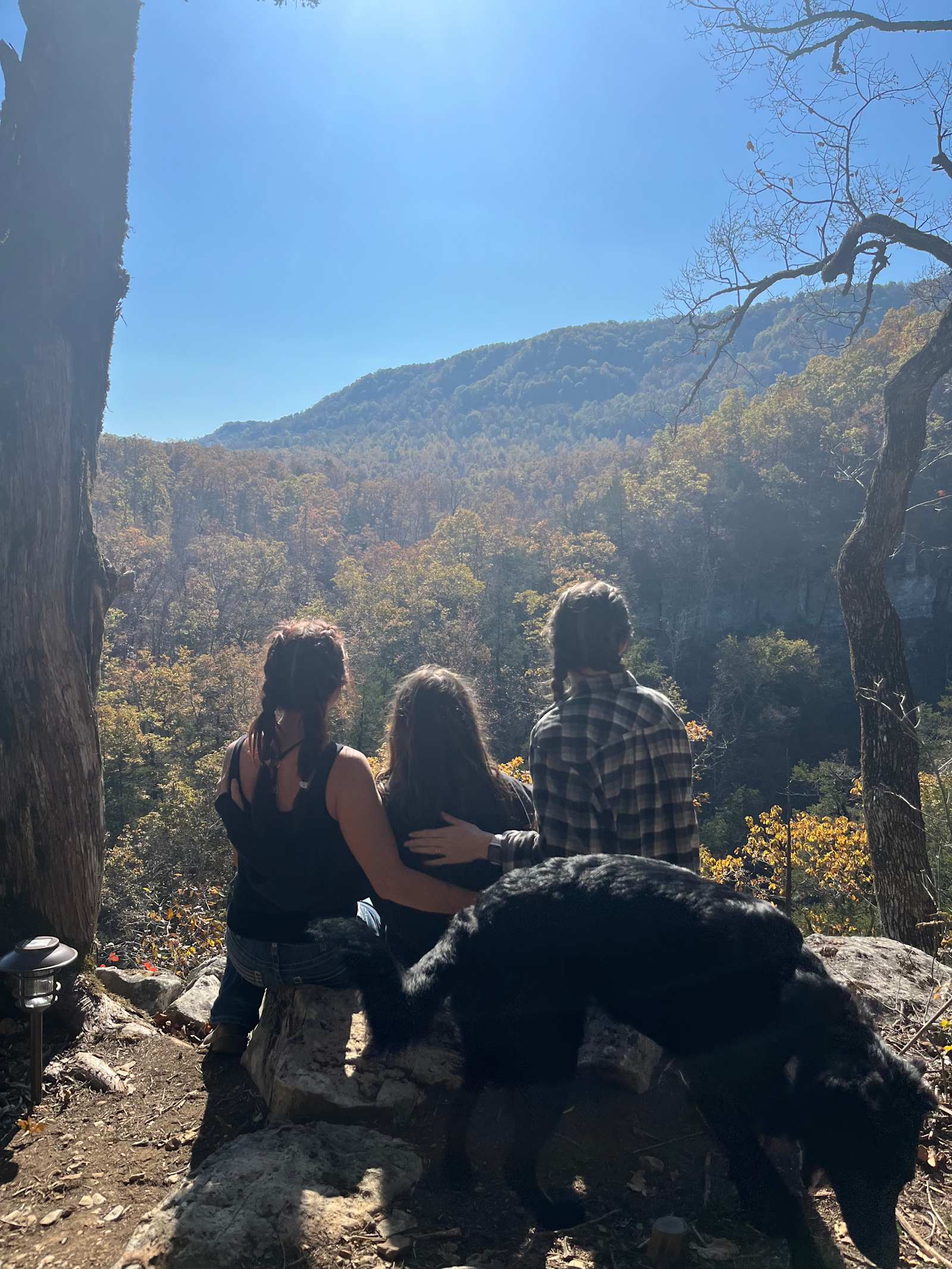 Eden Springs - Jasper, Arkansas - glamping.directory