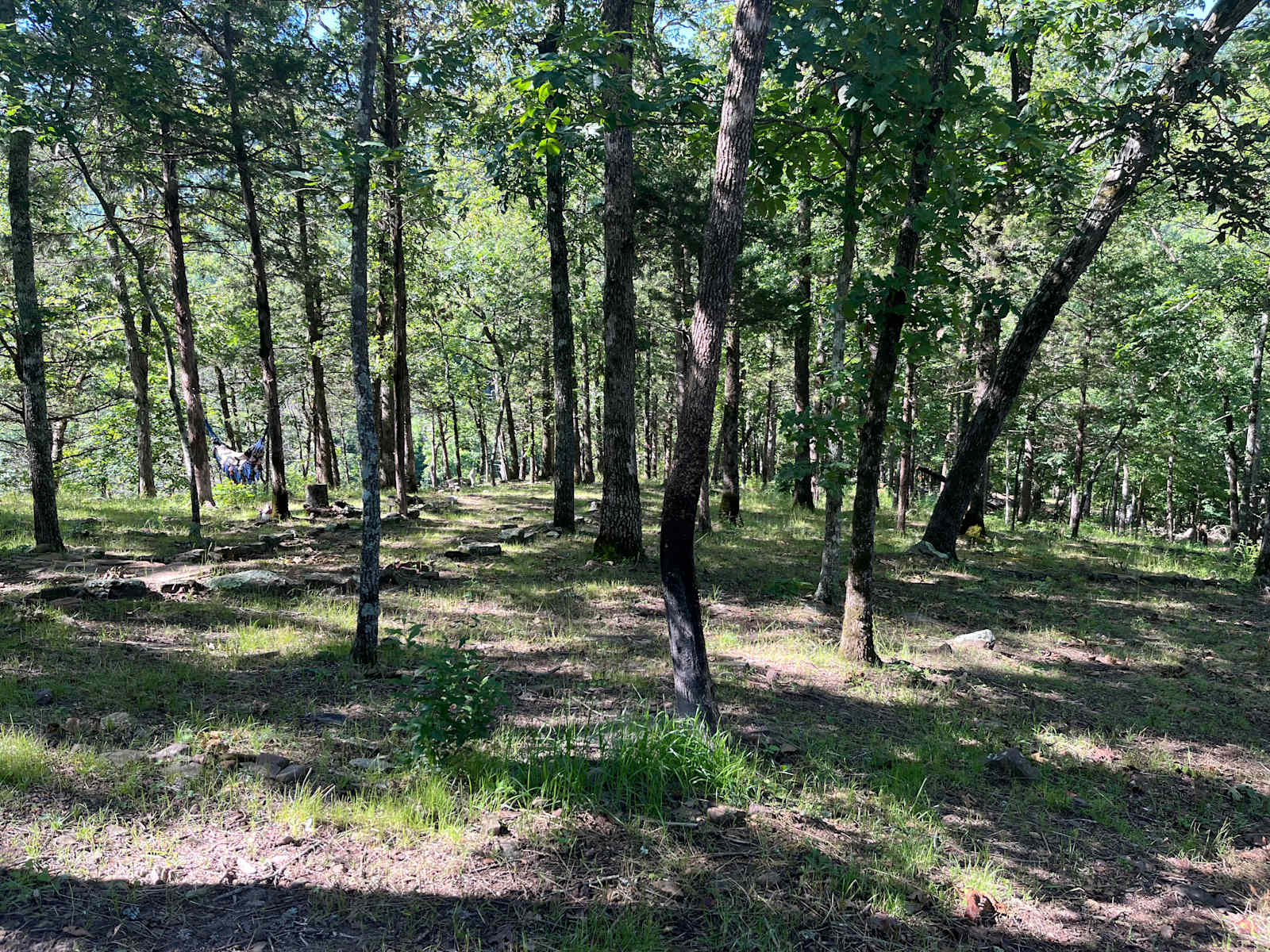 Eden Springs - Jasper, Arkansas - glamping.directory