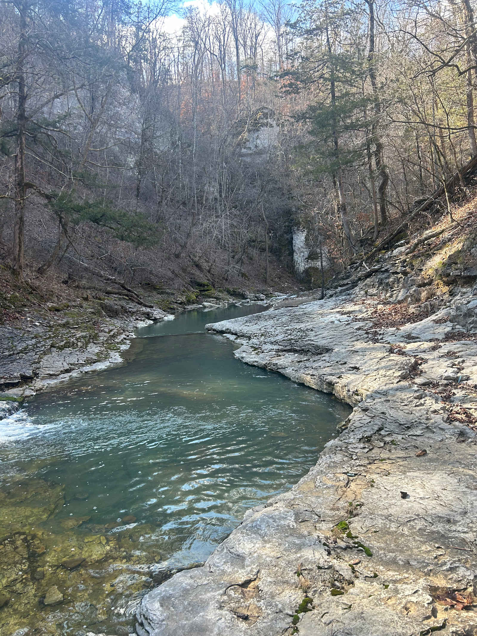 Eden Springs - Jasper, Arkansas - glamping.directory