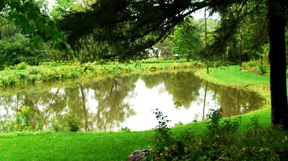 Hilltop Cottage Rental Overlooking Creek near Albany in Upstate New York - Fly Creek, New York - glamping.directory