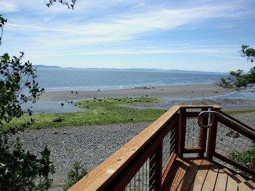 Tranquil Cottage with Views of Boundary Bay in Point Roberts, Washington - Point Roberts, Washington - glamping.directory