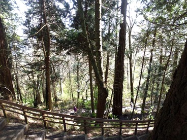Tranquil Cottage with Views of Boundary Bay in Point Roberts, Washington - Point Roberts, Washington - glamping.directory