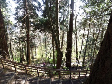 Tranquil Cottage with Views of Boundary Bay in Point Roberts, Washington - Point Roberts, Washington - glamping.directory