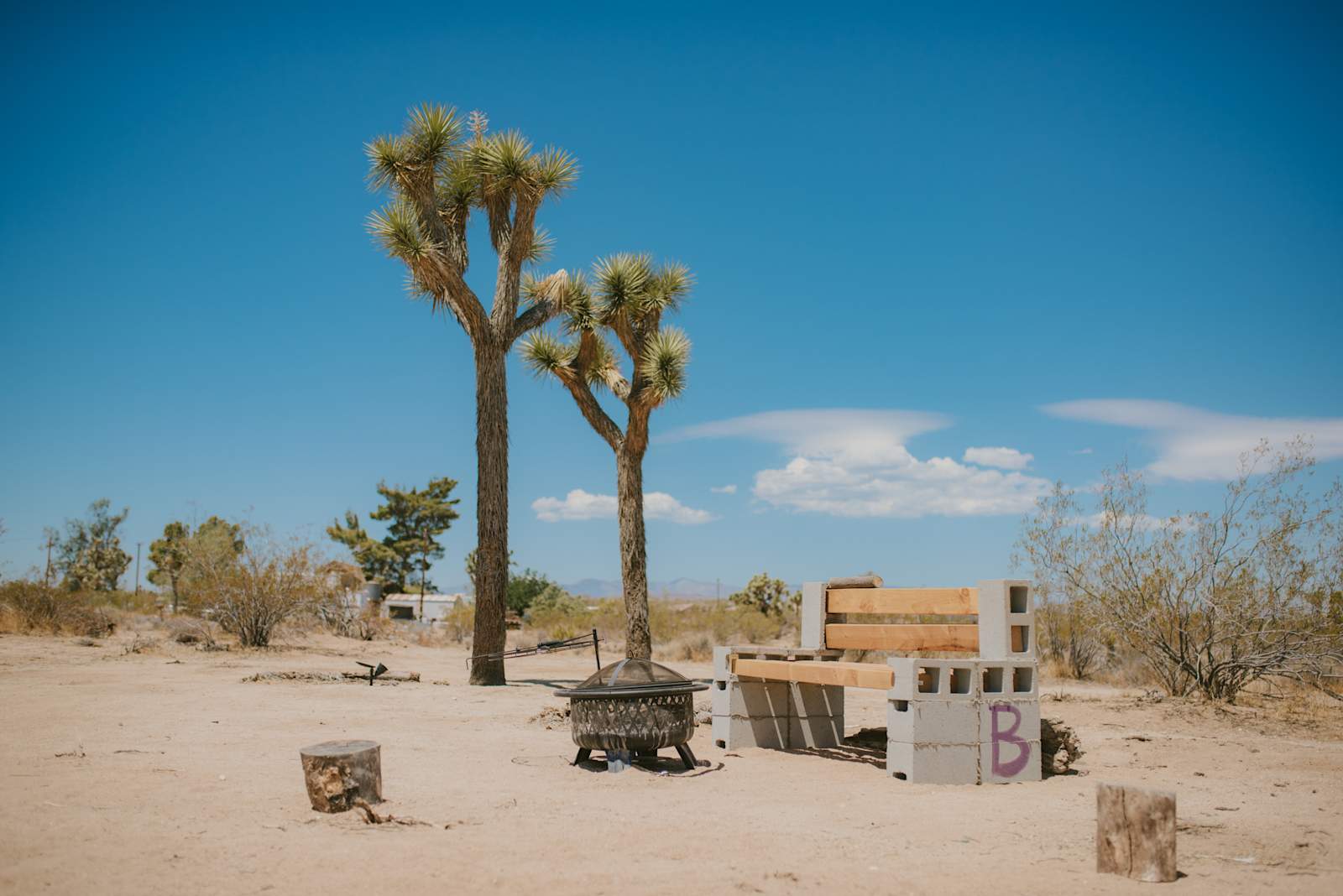 Caribbean Mojave Escape - Yucca Valley, California - glamping.directory