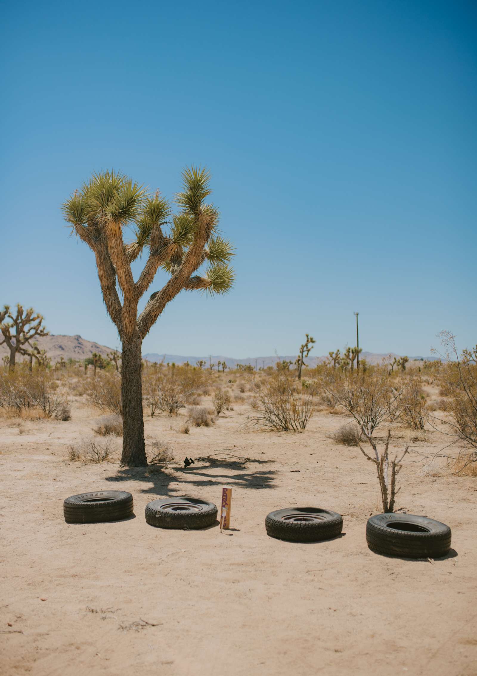 Caribbean Mojave Escape - Yucca Valley, California - glamping.directory
