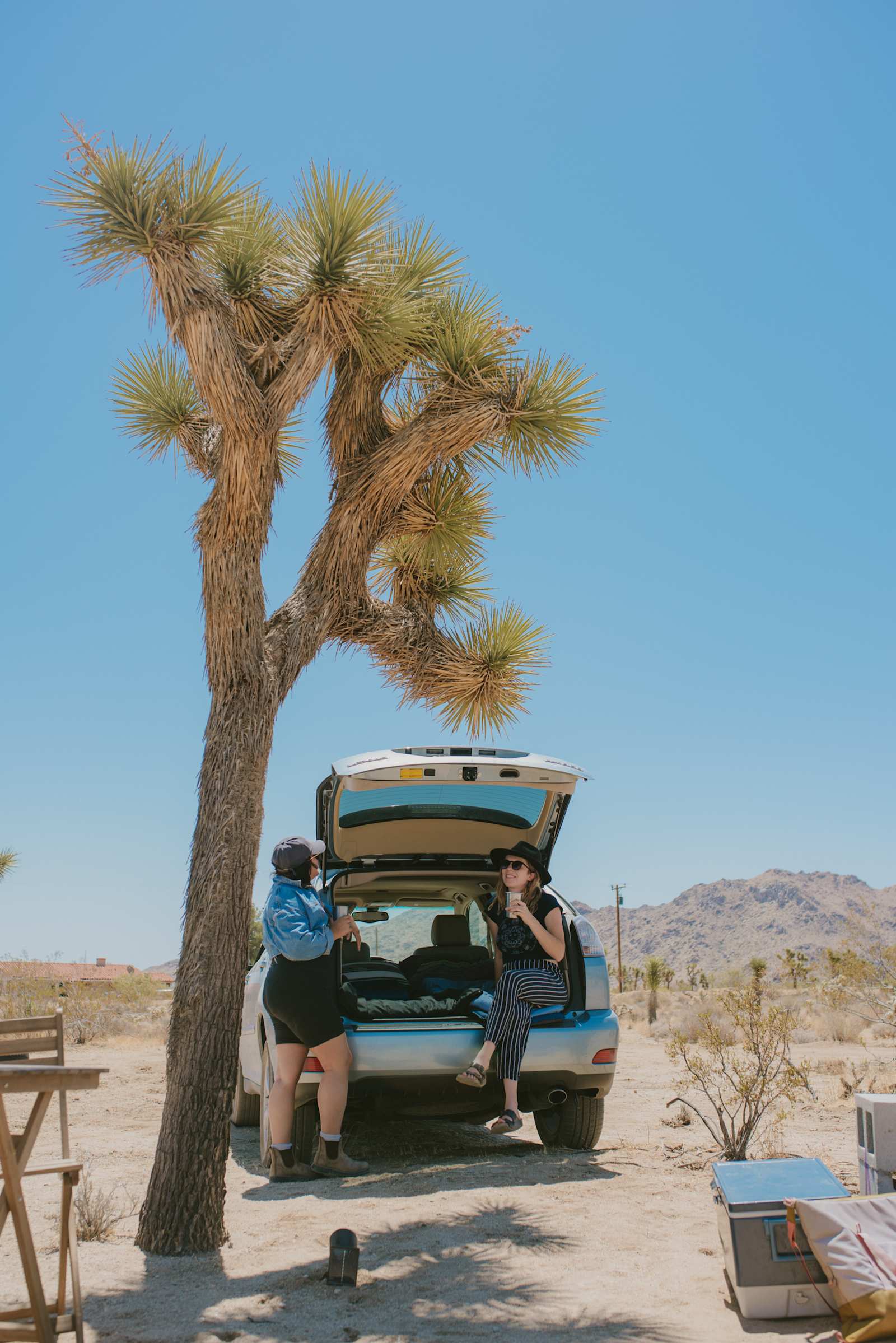 Caribbean Mojave Escape - Yucca Valley, California - glamping.directory