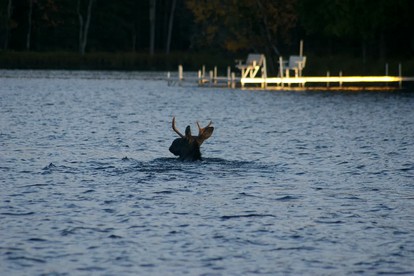 Lakefront Cabin on Oxbow Lake in Wisconsin's Last Wilderness, Presque Isle - Presque Isle, Wisconsin - glamping.directory