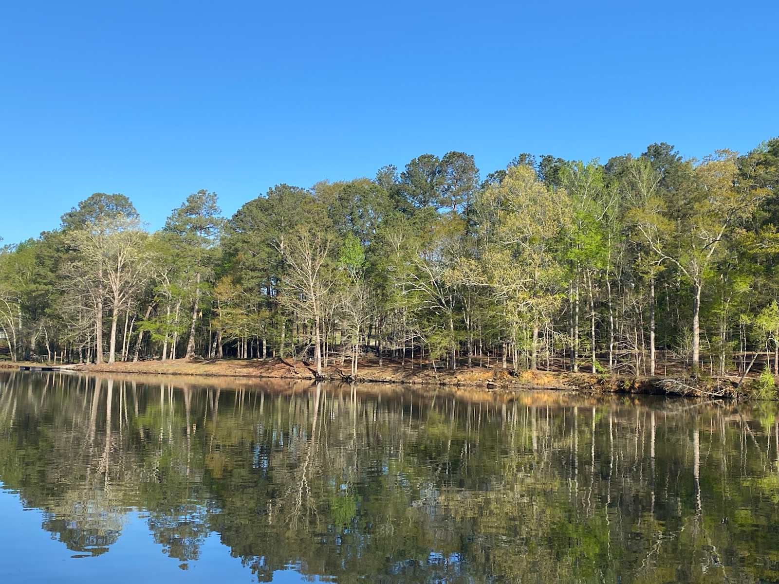 CAMP 222 (A Private Campground) - Cullman, Alabama - glamping.directory