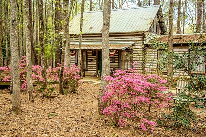 Rustic Cabin Getaway near Flint River in Thomaston, Georgia - glamping.directory