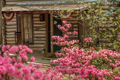Rustic Cabin Getaway near Flint River in Thomaston, Georgia - Thomaston, Georgia - glamping.directory
