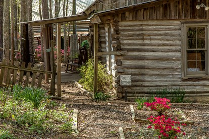 Rustic Cabin Getaway near Flint River in Thomaston, Georgia - Thomaston, Georgia - glamping.directory