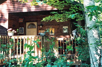 Cabin Surrounded by Sublime Nature near Lake Huron, Michigan - glamping.directory