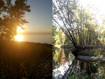 Cabin Surrounded by Sublime Nature near Lake Huron, Michigan - Port Austin, Michigan - glamping.directory