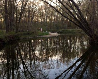 Cabin Surrounded by Sublime Nature near Lake Huron, Michigan - Port Austin, Michigan - glamping.directory