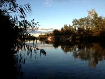 Cabin Surrounded by Sublime Nature near Lake Huron, Michigan - Port Austin, Michigan - glamping.directory
