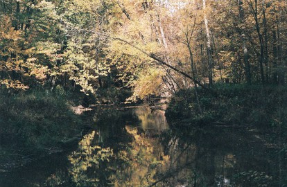 Cabin Surrounded by Sublime Nature near Lake Huron, Michigan - Port Austin, Michigan - glamping.directory